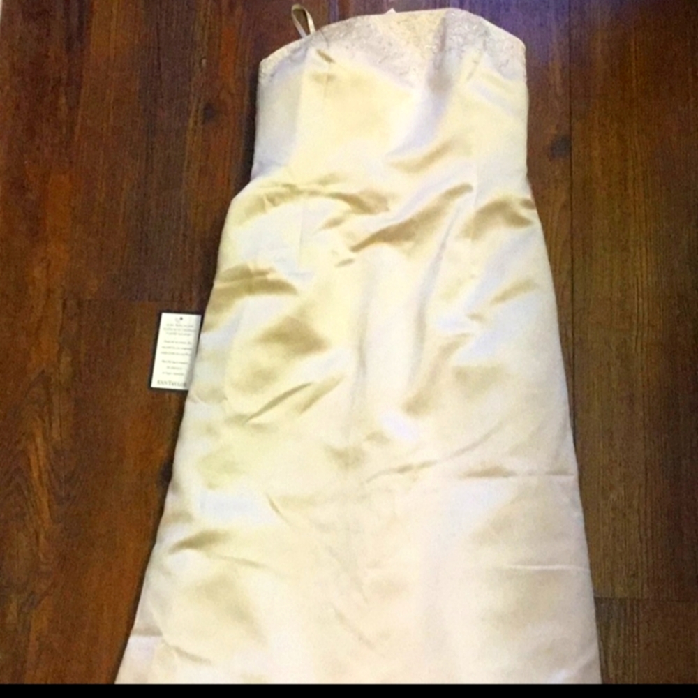 - Ann Taylor gown nwt